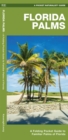 Florida Palms : A Folding Pocket Guide to Familiar Palms of Florida - Book