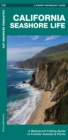 California Seashore Life : A Waterproof Folding Guide to Familiar Animals & Plants - Book