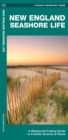 New England Seashore Life : A Waterproof Folding Guide to Familiar Animals & Plants - Book