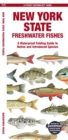 New York State Freshwater Fishes : A Waterproof Folding Guide to Native and Introduced Species - Book