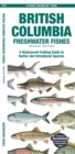 British Columbia Freshwater Fishes : A Waterproof Folding Guide to Native and Introduced Species - Book