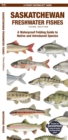 Saskatchewan Freshwater Fishes : A Waterproof Folding Guide to Native and Introduced Species - Book