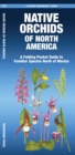 Native Orchids of North America : A Folding Pocket Guide to Familiar Species North of Mexico - Book