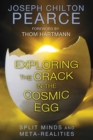 Exploring the Crack in the Cosmic Egg : Split Minds and Meta-Realities - eBook