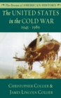 The United States in the Cold War - eBook