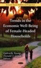 Trends in the Economic Well-Being of Female-Headed Households - eBook