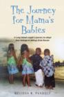 The Journey for Mama's Babies - eBook