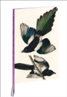 Magpies, James Audubon A4 Notebook - Book