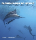 Glorious Gulf of Mexico : Life Below the Blue - eBook