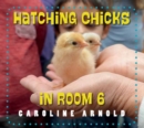 Hatching Chicks in Room 6 - Book