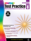 Spectrum Test Practice, Grade 8 - eBook