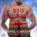 Big Package - eAudiobook