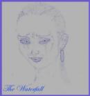 The Waterfall - eBook