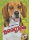 Beagles - Book