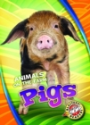 Pigs - Book