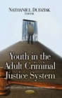 Youth in the Adult Criminal Justice System - eBook