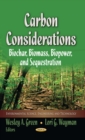 Carbon Considerations : Biochar, Biomass, Biopower, and Sequestration - eBook