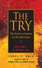 The Try : The Secret to Success in Life and Career - eBook