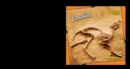 Fossils - eBook