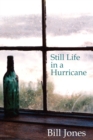 Stil Life in a Hurricane - eBook