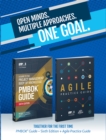 A Guide to the Project Management Body of Knowledge (PMBOK(R) Guide-Sixth Edition / Agile Practice Guide Bundle - eBook