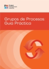 Process Groups: A Practice Guide (SPANISH) - eBook