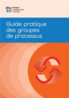Process Groups: A Practice Guide (FRENCH) - eBook