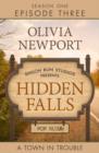 Hidden Falls: A Town in Trouble - Episode 3 - eBook