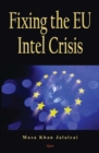 Fixing the EU Intel Crisis - eBook