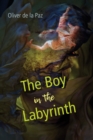 The Boy in the Labyrinth - eBook