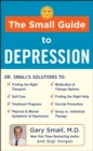 The Small Guide to Depression - eBook
