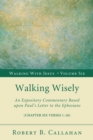 Walking Wisely : An Expository Commentary Based upon Paul's Letter to the Ephesians - eBook