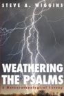 Weathering the Psalms : A Meteorotheological Survey - eBook