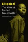Elliptical : The Music of Meshell Ndegeocello - eBook