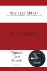 Restless Spirit : The Holy Spirit from a Process Perspective - eBook