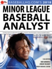 2018 Minor League Baseball Analyst - eBook