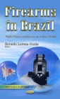 Firearms in Brazil : Public Policies and Impacts on Auditory Health - eBook