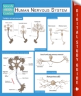 Human Nervous System (Speedy Study Guides) - eBook