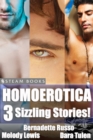 Homoerotica - A Sexy Bundle of 3 Gay M/M Erotic Stories from Steam Books - eBook