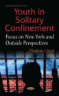 Youth in Solitary Confinement : Focus on New York and Outside Perspectives - eBook