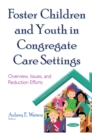 Foster Children and Youth in Congregate Care Settings : Overview, Issues, and Reduction Efforts - eBook