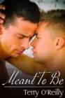 Meant To Be - eBook