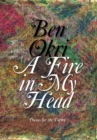 Fire in My Head - eBook
