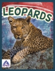 Wild Cats: Leopards - Book