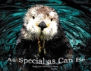 As Special as Can Be - eBook