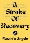 A Stroke of Recovery - eBook