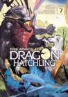 Reincarnated as a Dragon Hatchling (Light Novel) Vol. 7 - Book