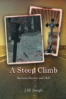 A Steep Climb : Between Heaven and Hell - eBook