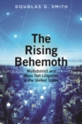 The Rising Behemoth : Multidistrict and Mass Tort Litigation in the United States - eBook