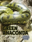 Green Anaconda - eBook